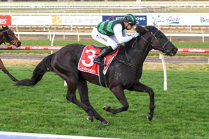 BACK-TO-BACK FOR BALASTIER